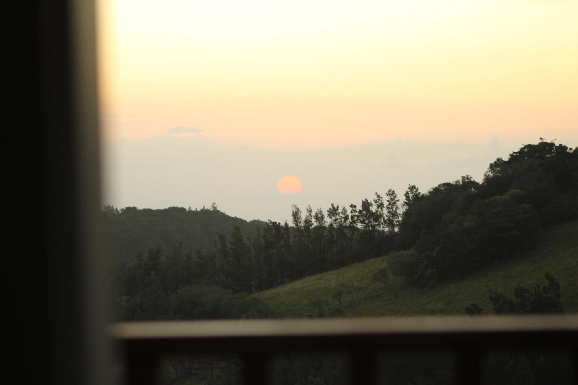 Hotel Bosque Verde Lodge Monteverde Phòng bức ảnh