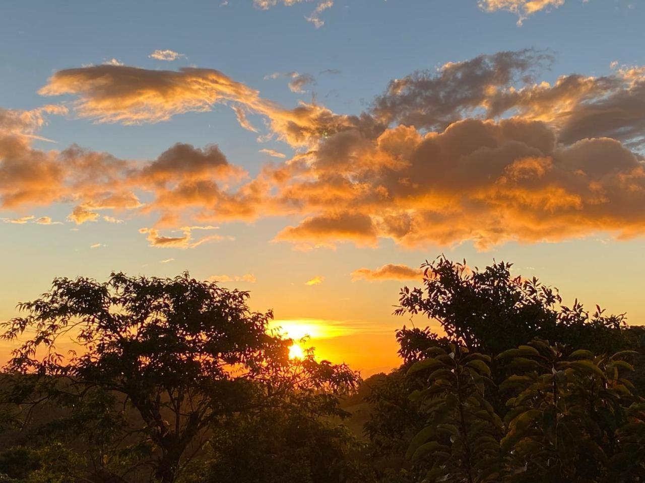 Hotel Bosque Verde Lodge Monteverde Ngoại thất bức ảnh