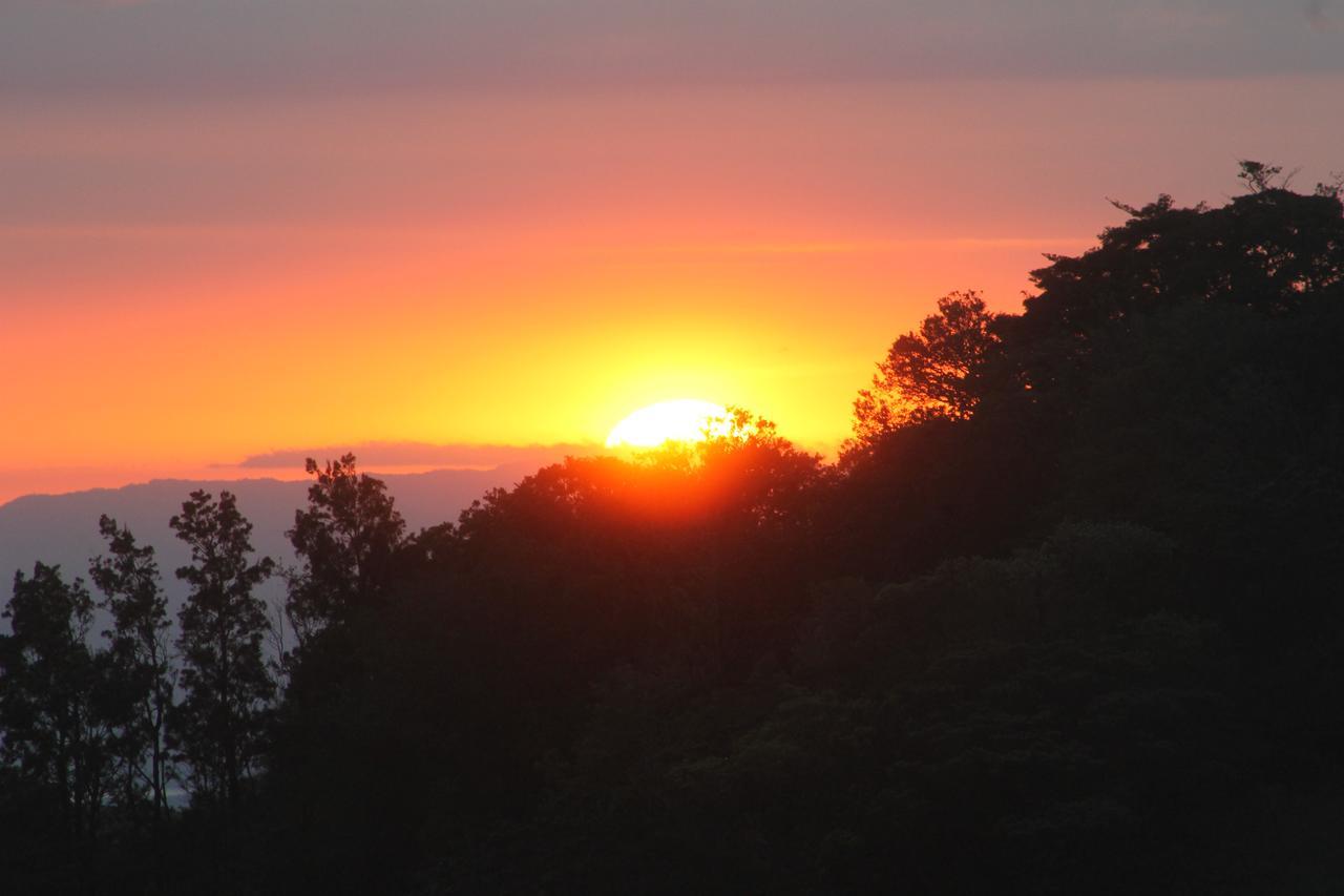 Hotel Bosque Verde Lodge Monteverde Ngoại thất bức ảnh