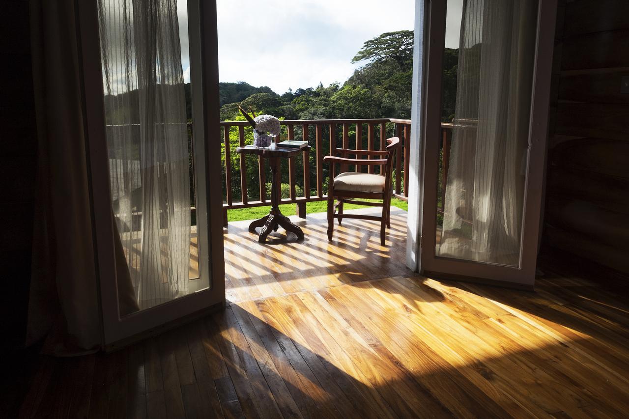 Hotel Bosque Verde Lodge Monteverde Ngoại thất bức ảnh