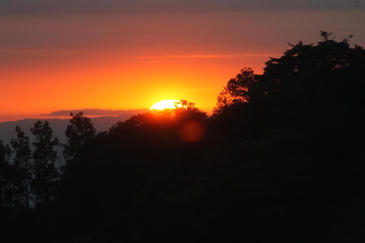 Hotel Bosque Verde Lodge Monteverde Ngoại thất bức ảnh