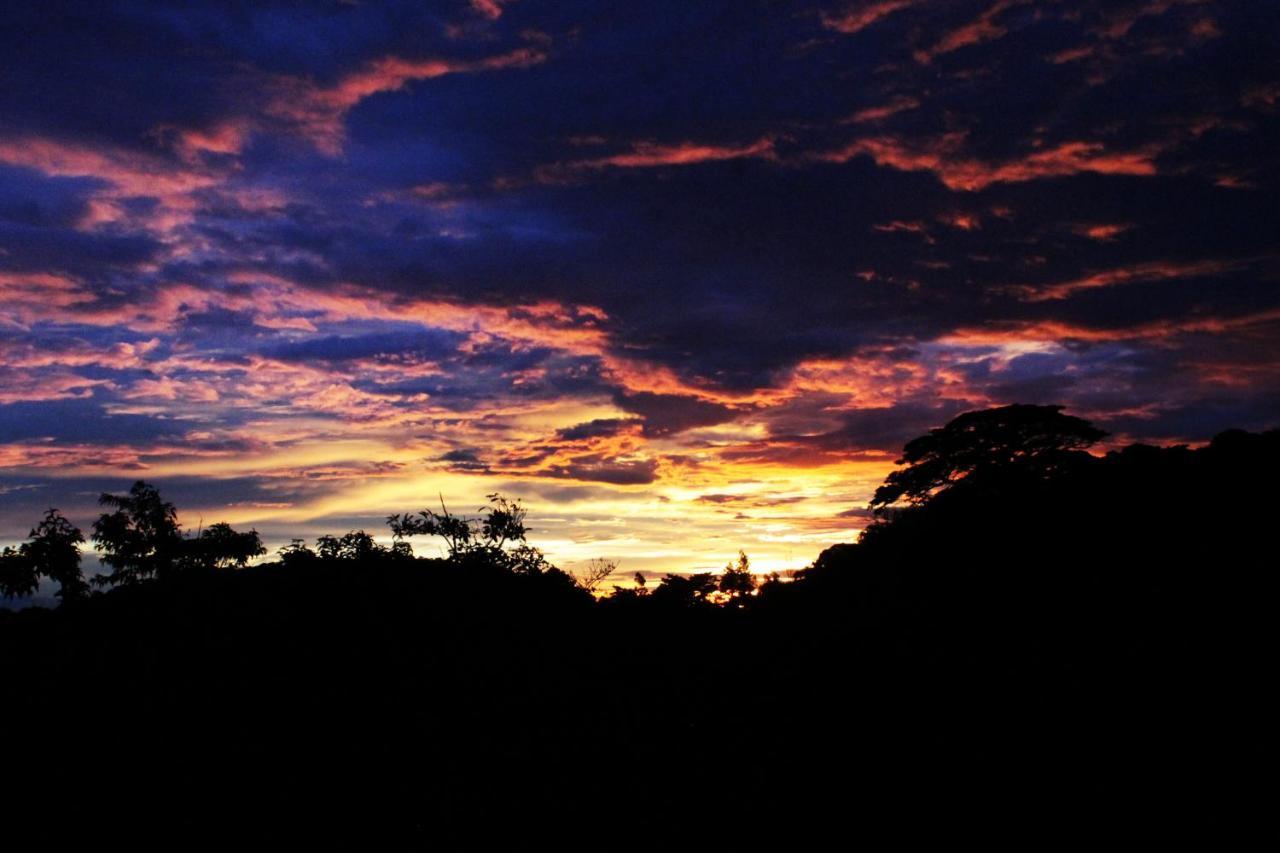 Hotel Bosque Verde Lodge Monteverde Ngoại thất bức ảnh