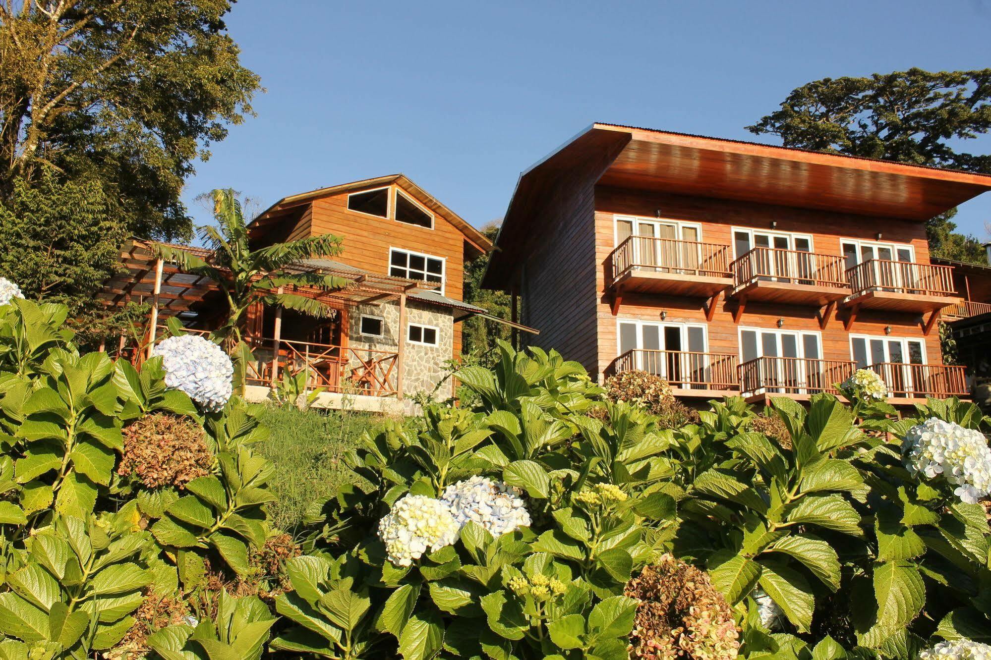 Hotel Bosque Verde Lodge Monteverde Ngoại thất bức ảnh