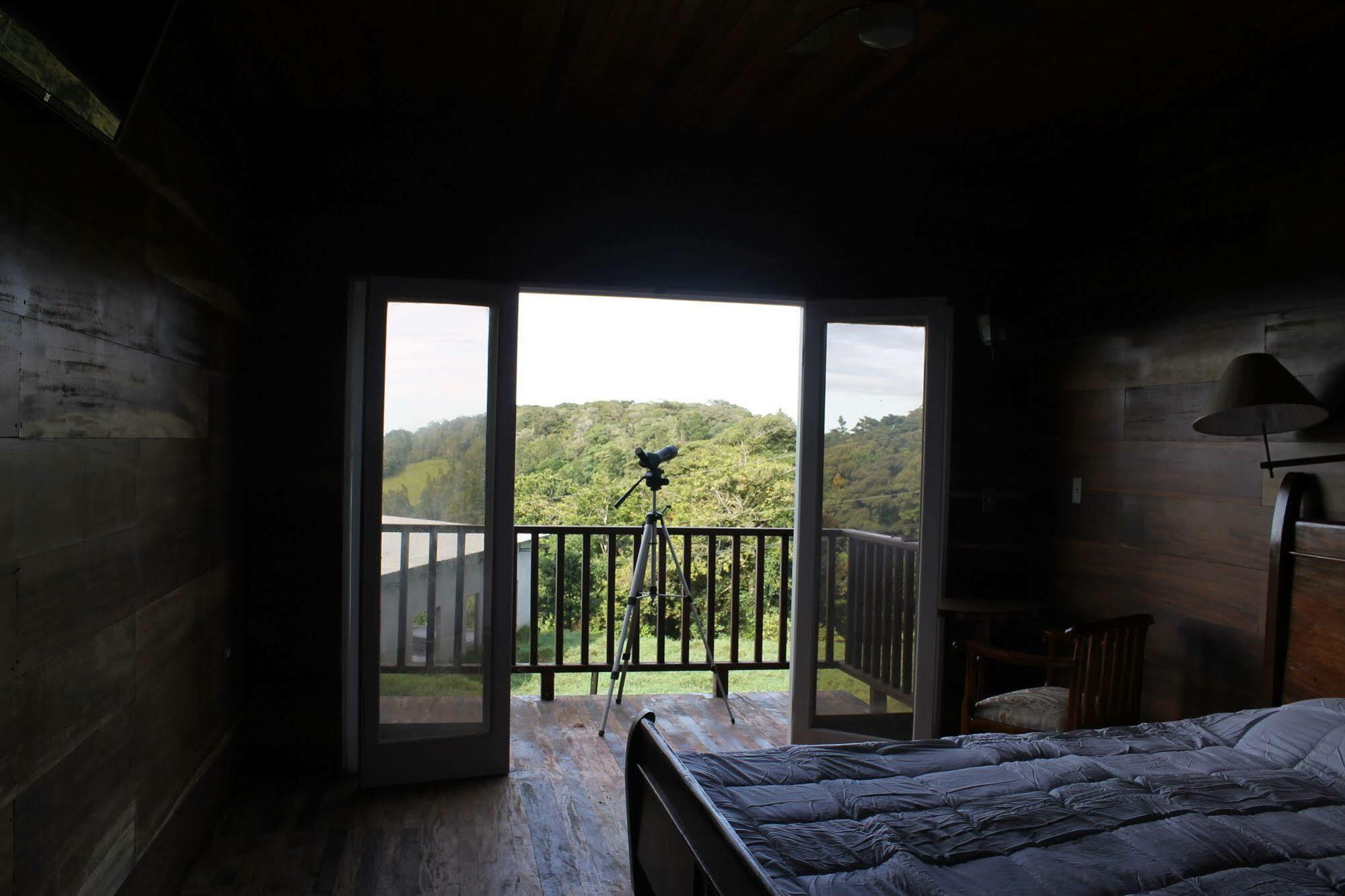 Hotel Bosque Verde Lodge Monteverde Ngoại thất bức ảnh