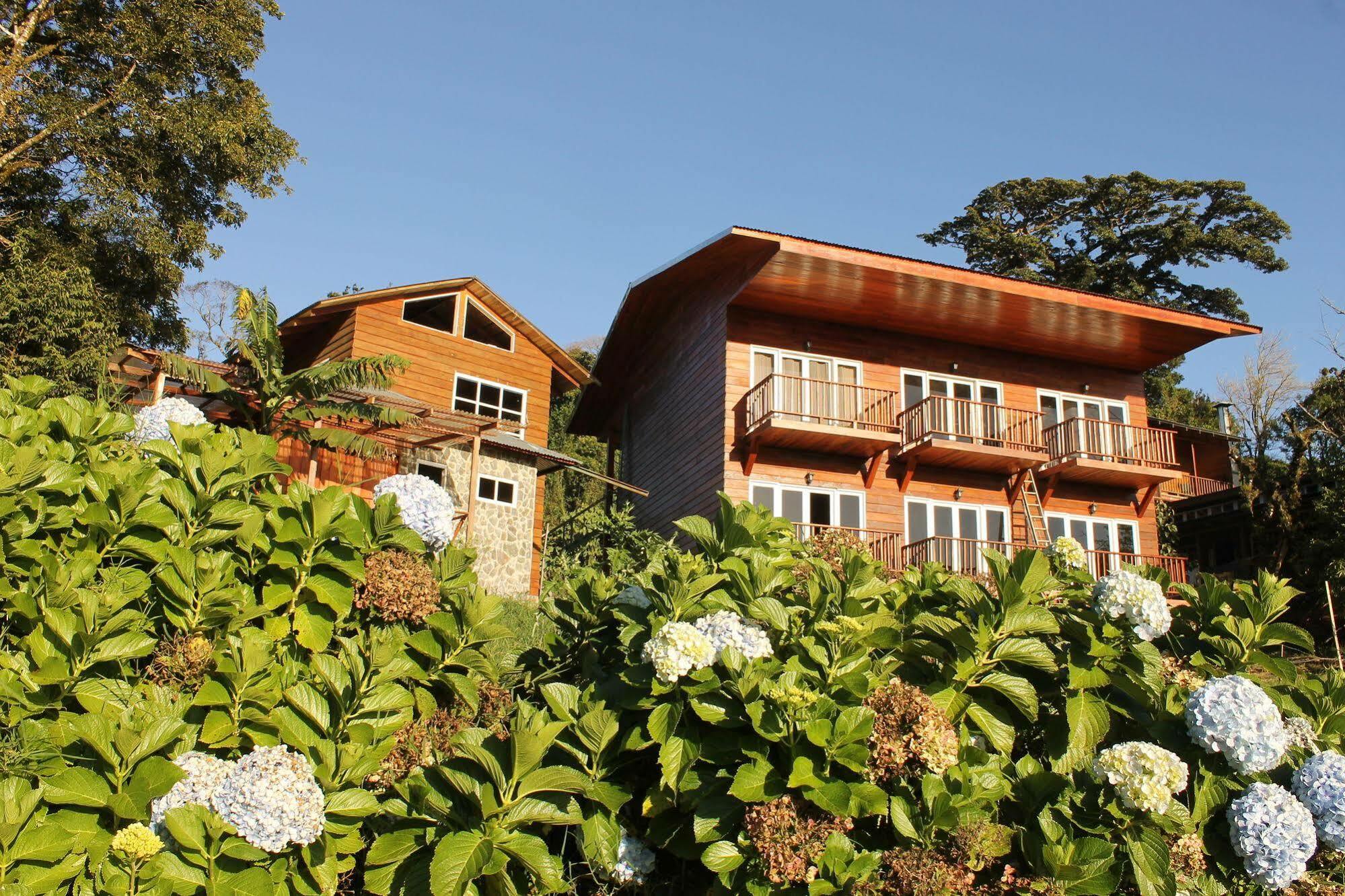 Hotel Bosque Verde Lodge Monteverde Ngoại thất bức ảnh