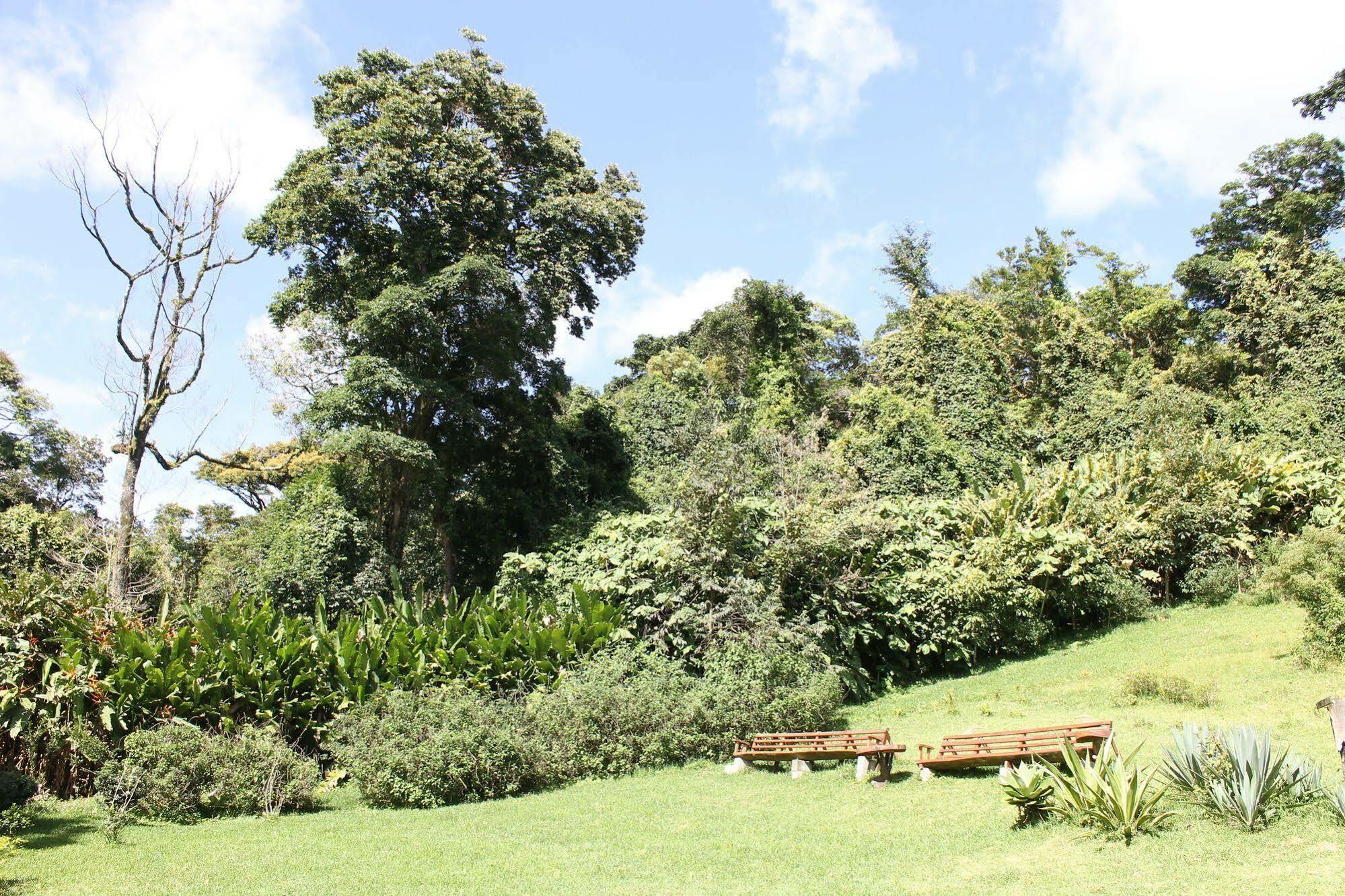 Hotel Bosque Verde Lodge Monteverde Ngoại thất bức ảnh