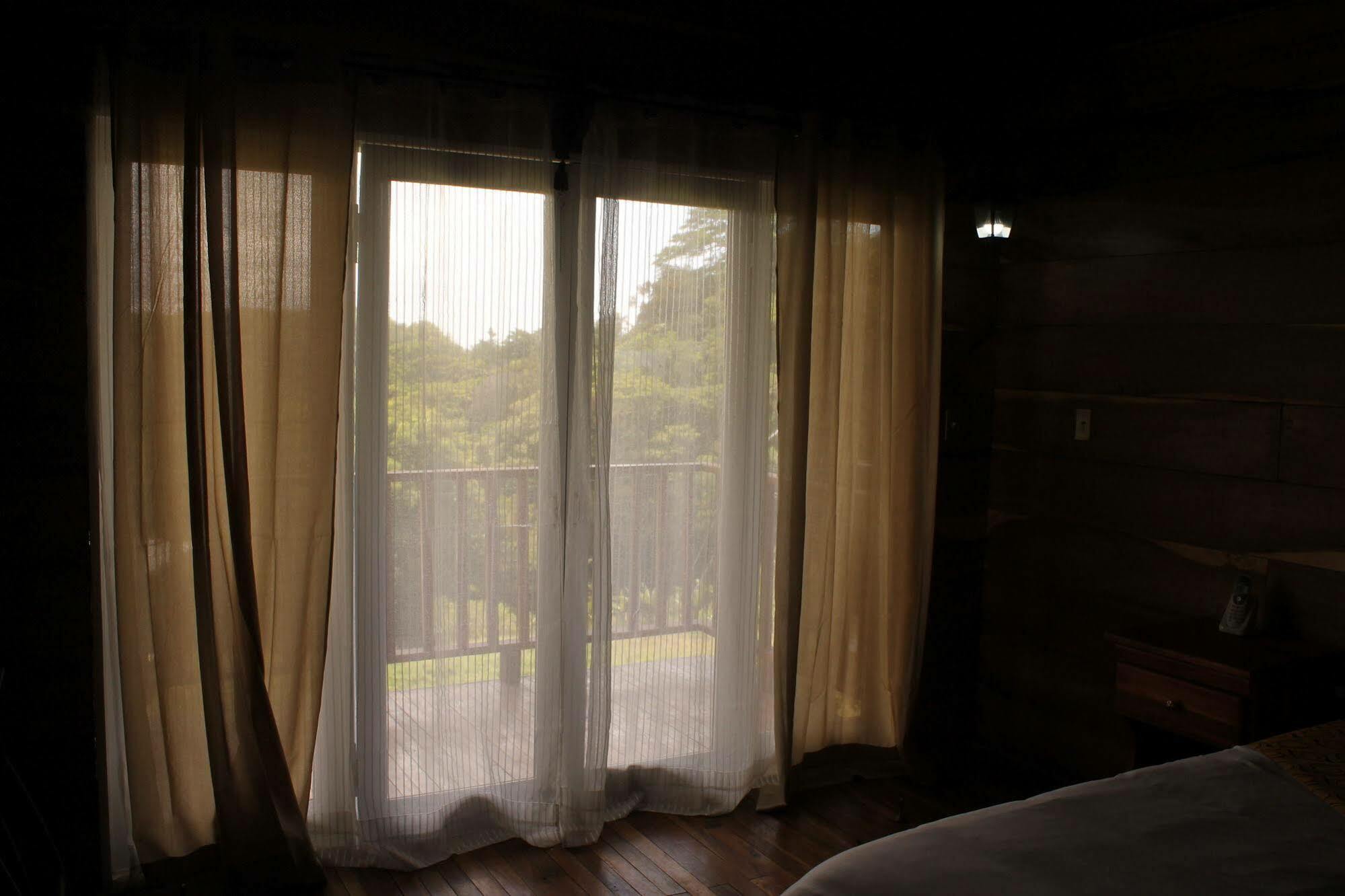 Hotel Bosque Verde Lodge Monteverde Ngoại thất bức ảnh