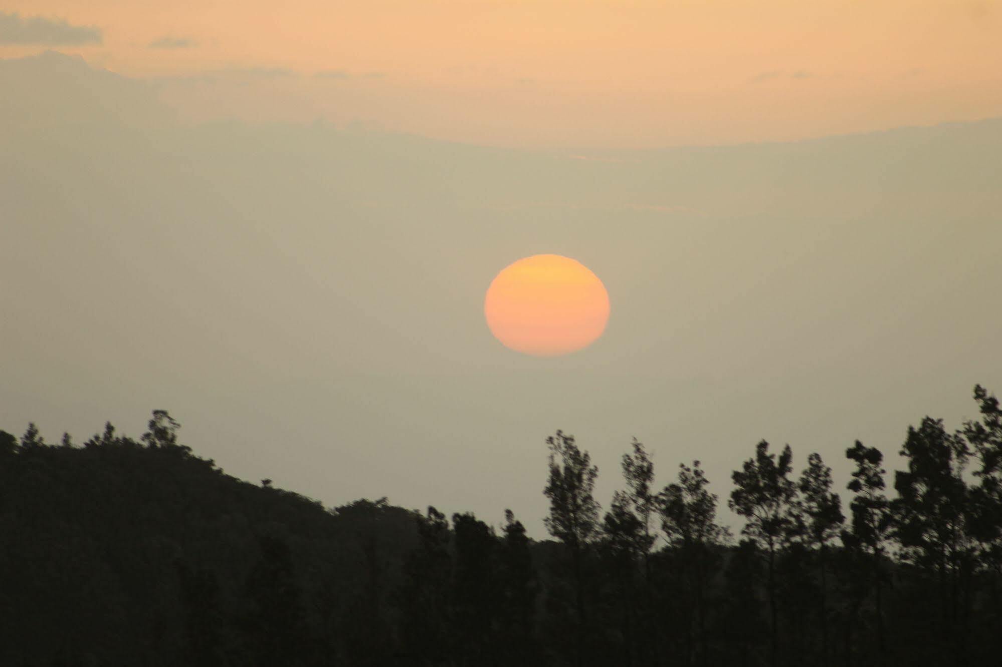 Hotel Bosque Verde Lodge Monteverde Ngoại thất bức ảnh
