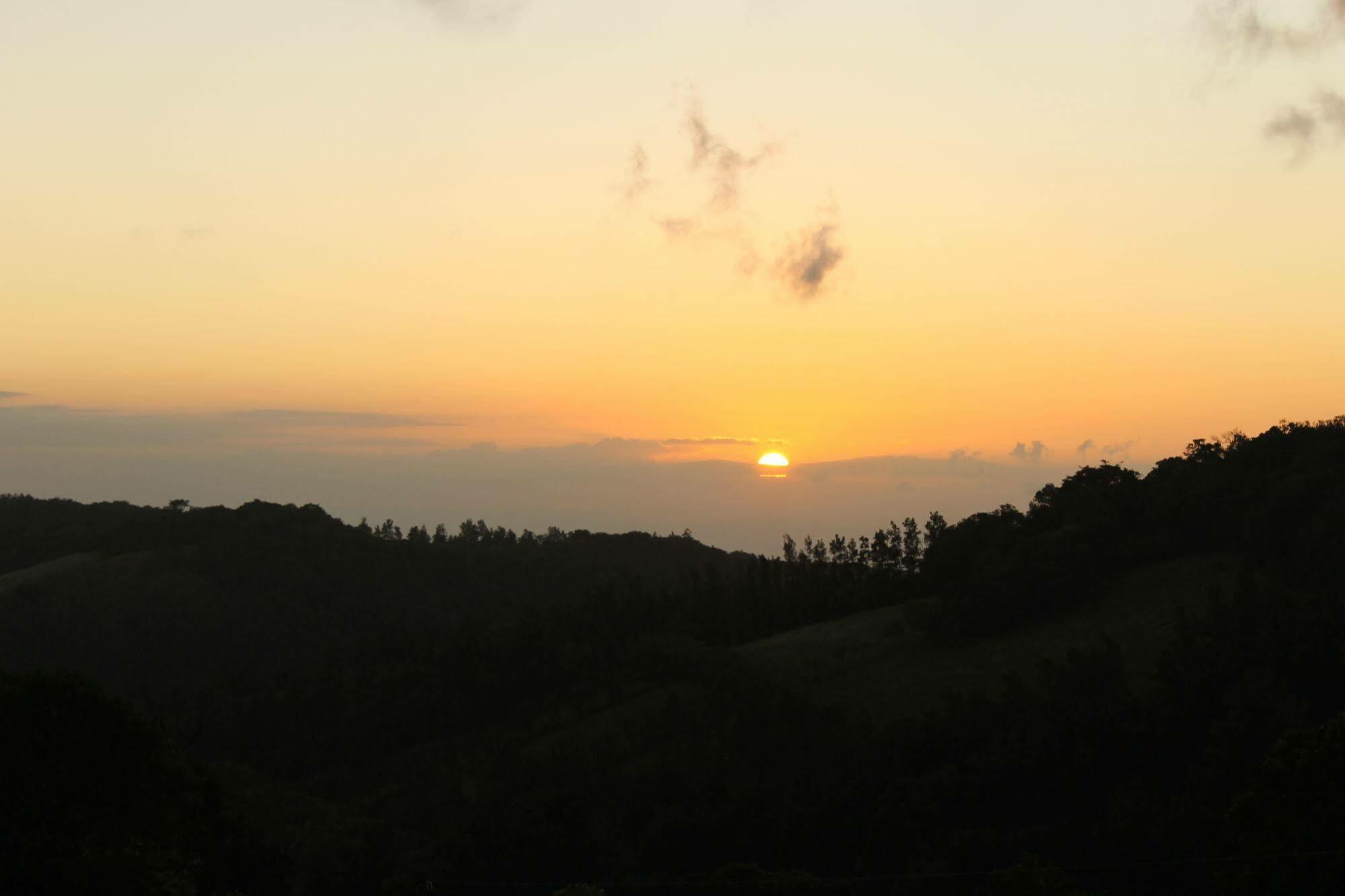 Hotel Bosque Verde Lodge Monteverde Ngoại thất bức ảnh